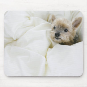 Dog in bed mouse pad
