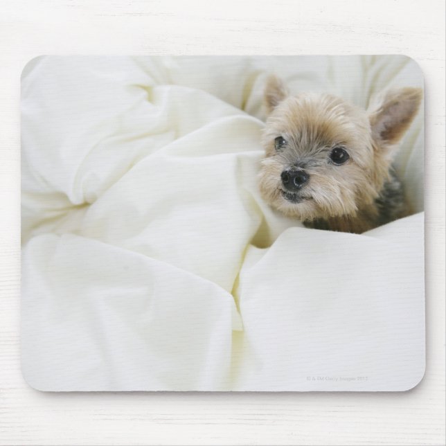 Dog in bed mouse pad (Front)