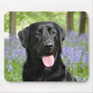 Dog in Bluebells Mouse Pad