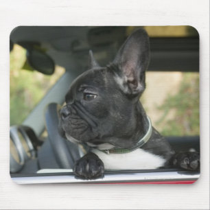 Dog in car mouse pad