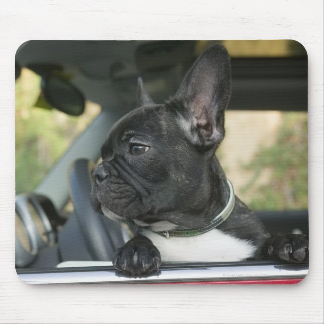 Dog in car mouse pad (Front)