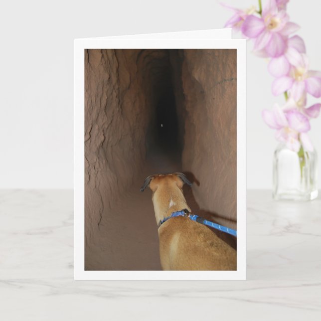 Dog in Cave Card (Orchid)