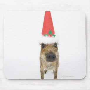Dog in Christmas hat Mouse Pad