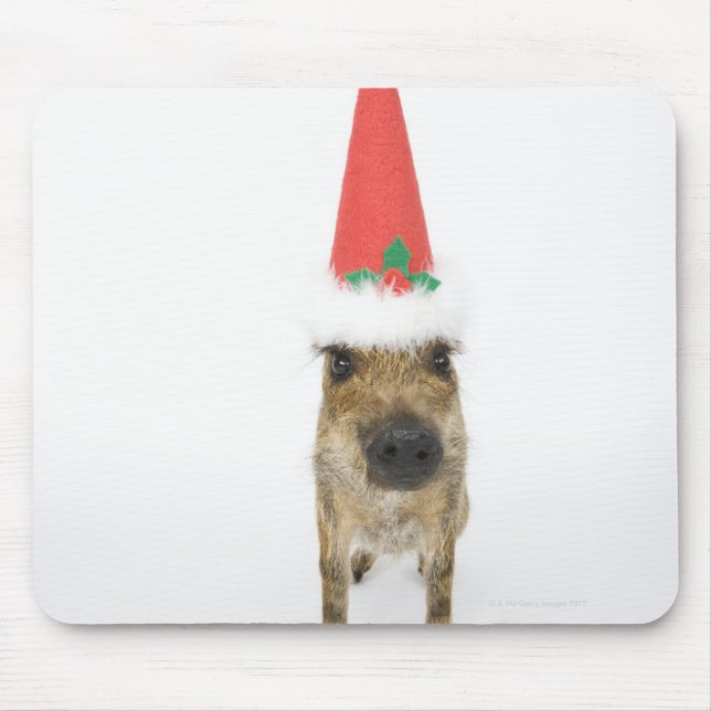 Dog in Christmas hat Mouse Pad (Front)