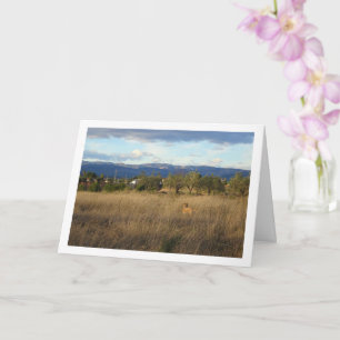 Dog in Countryside Landscape Card