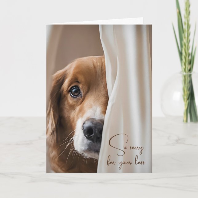 Dog In Curtain Pet Loss Sympathy Card (Front)