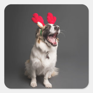 Dog in deer horns square sticker