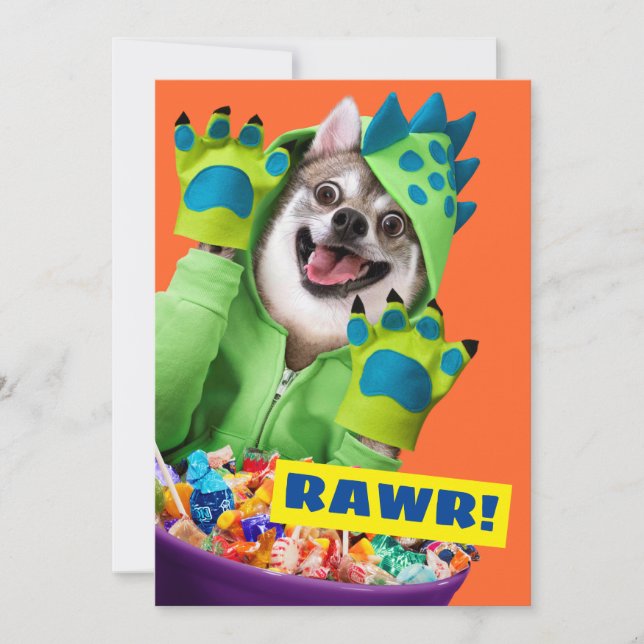 Dog in Dinosaur Costume Invitation (Front)