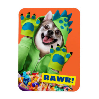 Dog in Dinosaur Costume Magnet