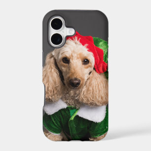 Dog in Elf Costume