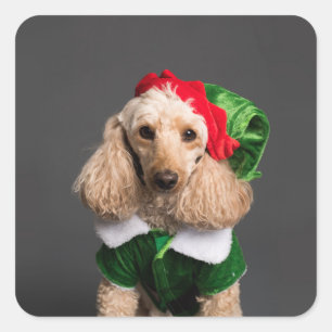 Dog in Elf Costume Square Sticker