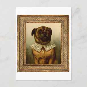 Dog in Elizabethan Collar Costume Postcard
