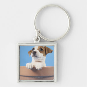 Dog in flowerpot key ring