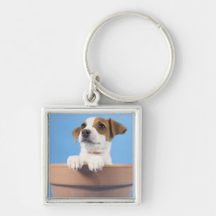 Dog in flowerpot key ring