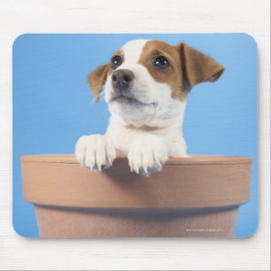 Dog in flowerpot mouse pad