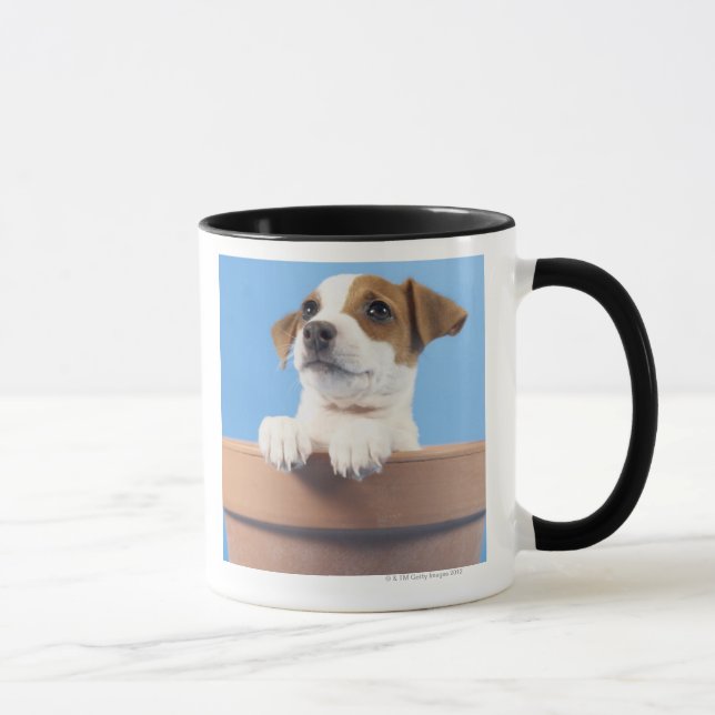 Dog in flowerpot mug (Right)