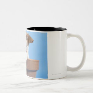 Dog in flowerpot Two-Tone coffee mug