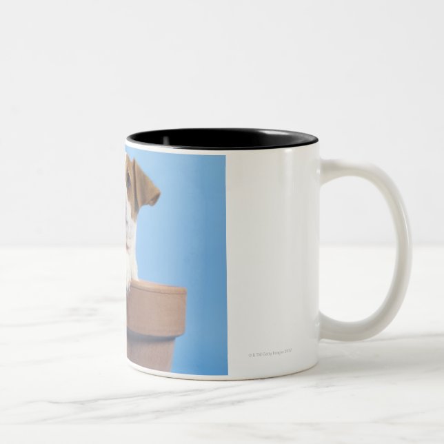 Dog in flowerpot Two-Tone coffee mug (Right)