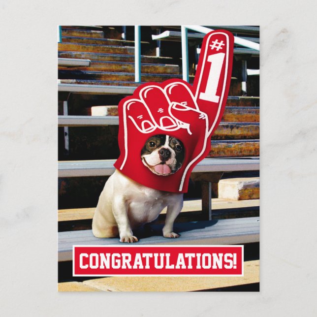 Dog In Foam Hand Invitation Postcard (Front)