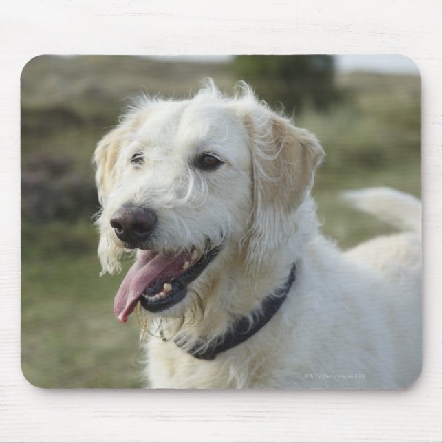 Dog in heath land. mouse pad (Front)