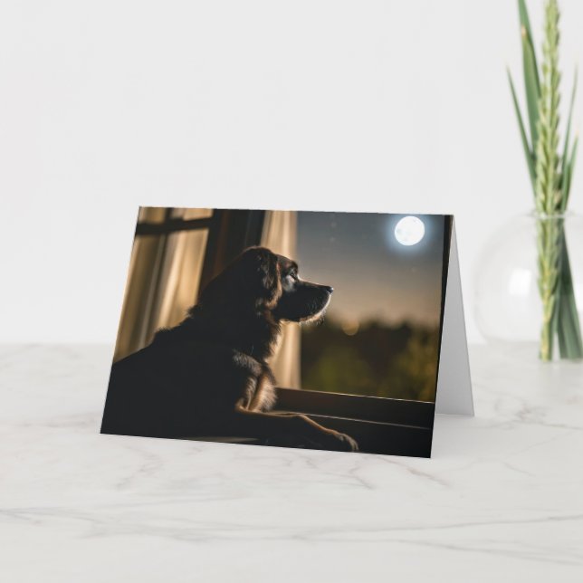 Dog In Moonlit Window Card (Front)