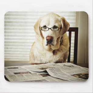 Dog in morning routine mouse pad