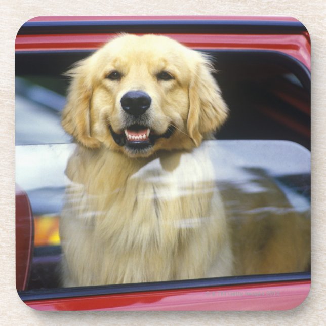 Dog in red car window coaster (Front)