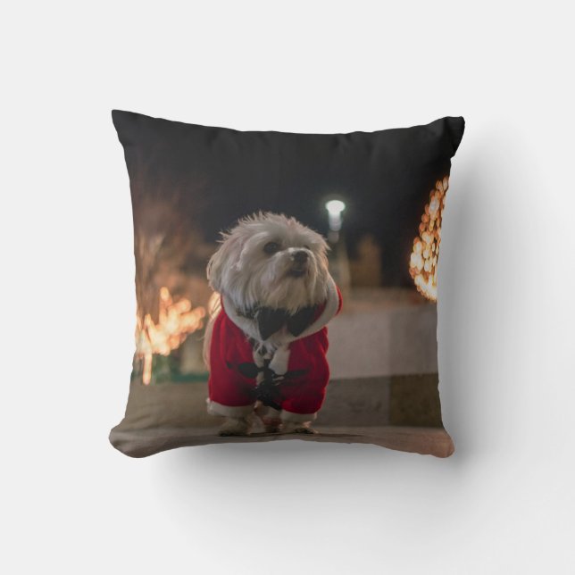 Dog in Santa costume Cushion (Front)