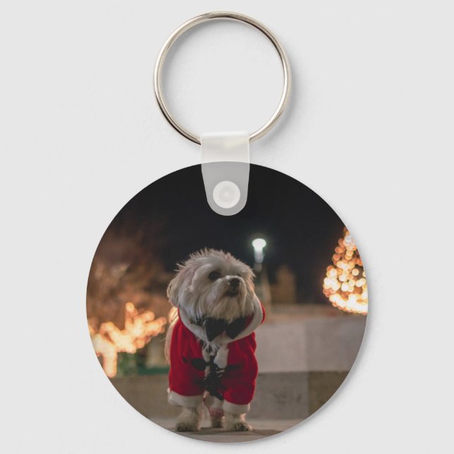 Dog in Santa costume Key Ring (Front)