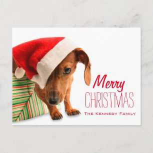 Dog in Santa hat Holiday Postcard