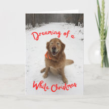 Dog in Snow Dreaming of White Christmas