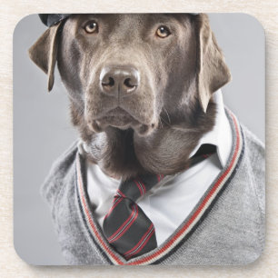 Dog in sweater and cap coaster