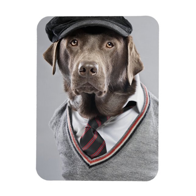 Dog in sweater and cap magnet (Vertical)