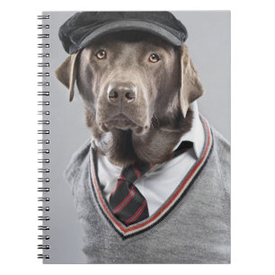 Dog in sweater and cap notebook
