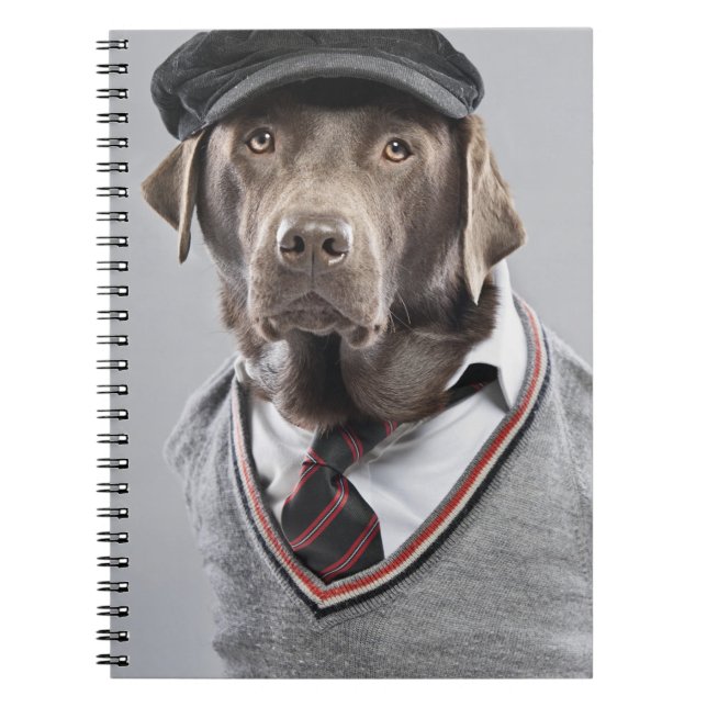 Dog in sweater and cap notebook (Front)
