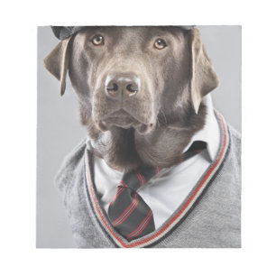 Dog in sweater and cap notepad