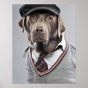 Dog in sweater and cap poster