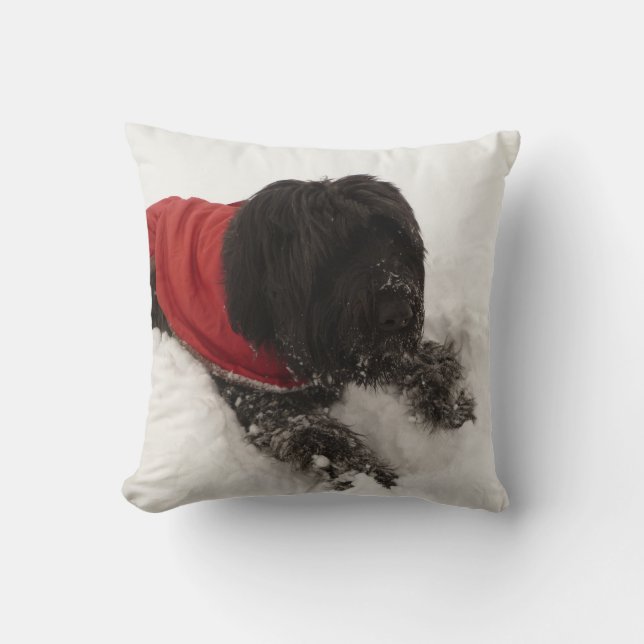 Dog in the Snow Cushion (Front)