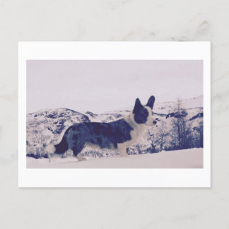 Dog in the snow Holiday Postcard