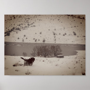 Dog in the snow Value Poster Paper