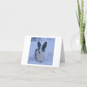 Dog in the snownFolded Holiday Card