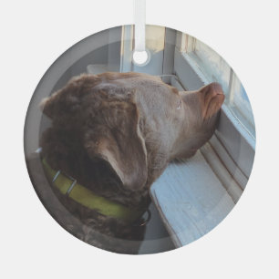 Dog in the Window Glass Tree Decoration