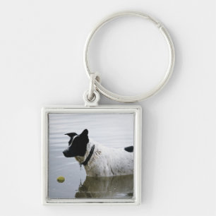 Dog in Water with Tennis Ball Key Ring