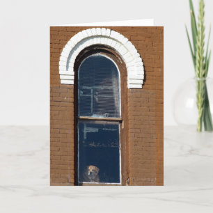 Dog in Window Card