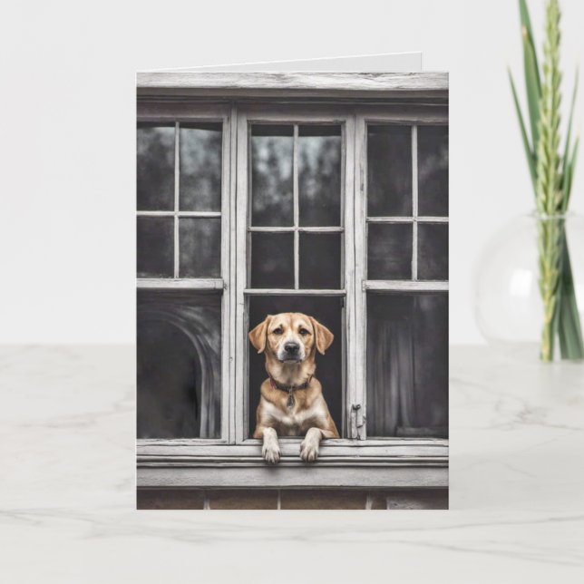 Dog In Window For Miss You Card (Front)
