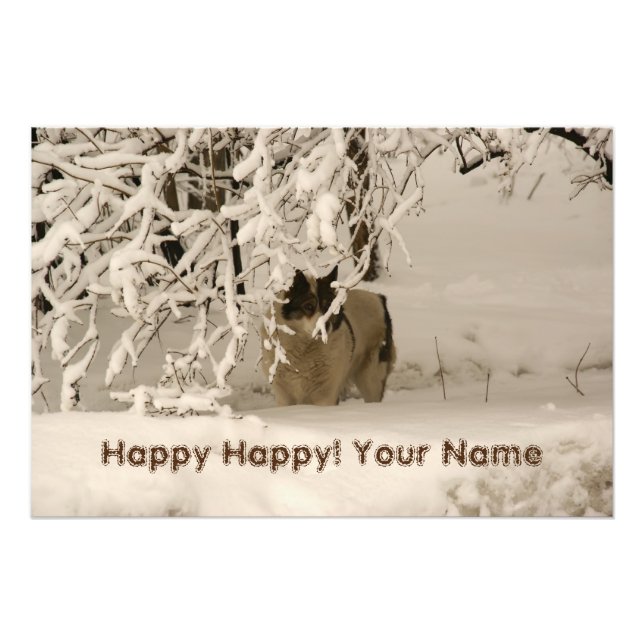 Dog in winter photo print (Front)
