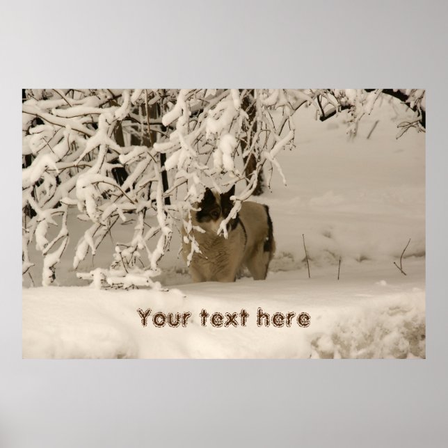 Dog in winter poster (Front)
