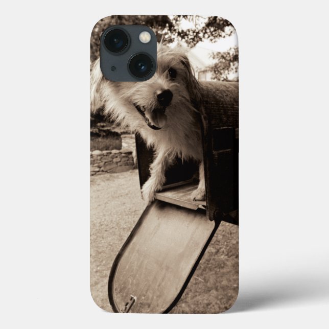 Dog Inside a Mailbox Case-Mate iPhone Case (Back)