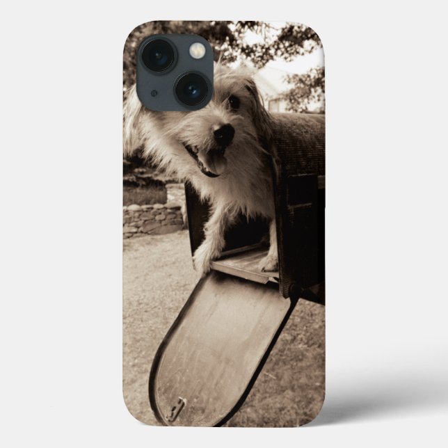 Dog Inside a Mailbox Case-Mate iPhone Case (Back)