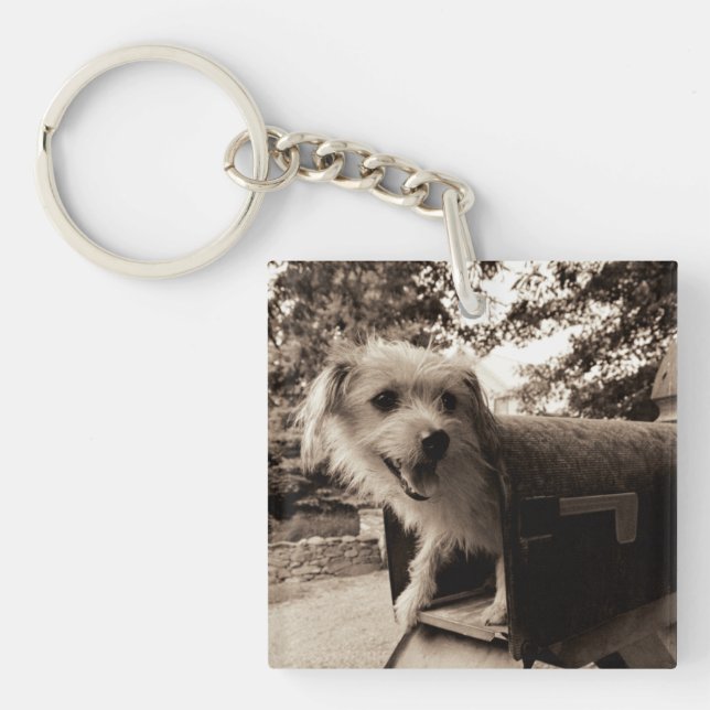 Dog Inside a Mailbox Key Ring (Front)